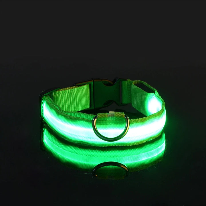 Night Safety Collar