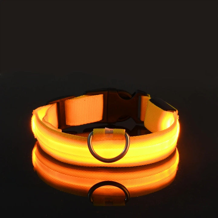 Night Safety Collar