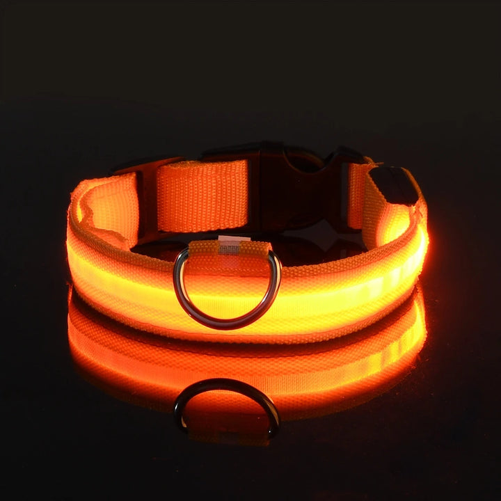 Night Safety Collar