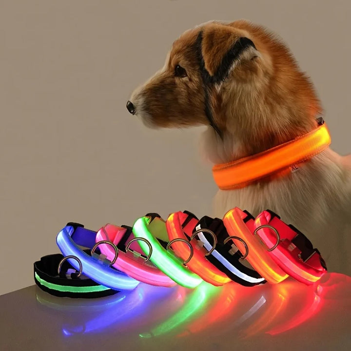 Night Safety Collar