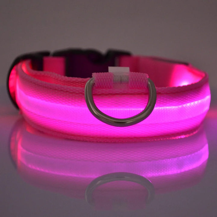 Night Safety Collar