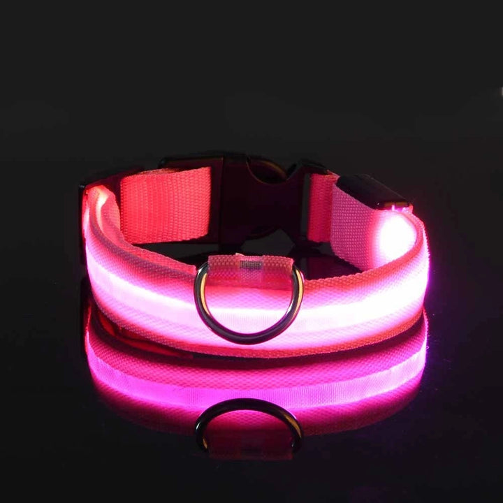 Night Safety Collar